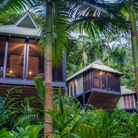 Daintree Ecolodge Kültér fotó