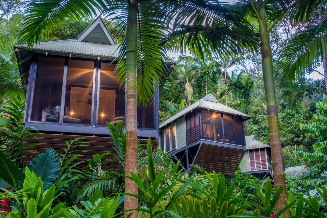 Daintree Ecolodge Kültér fotó