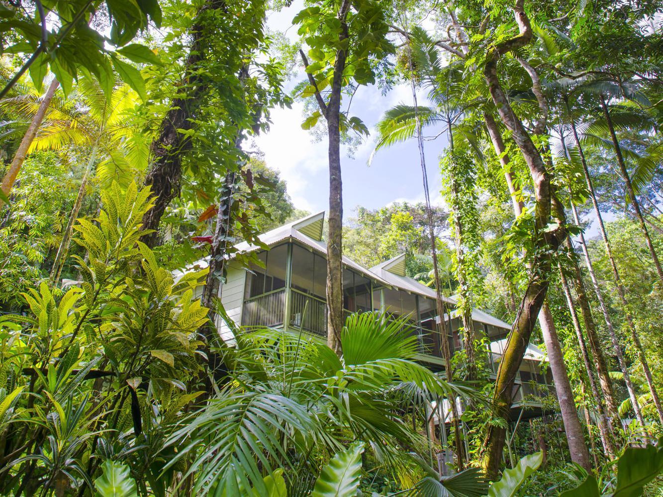 Daintree Ecolodge Kültér fotó