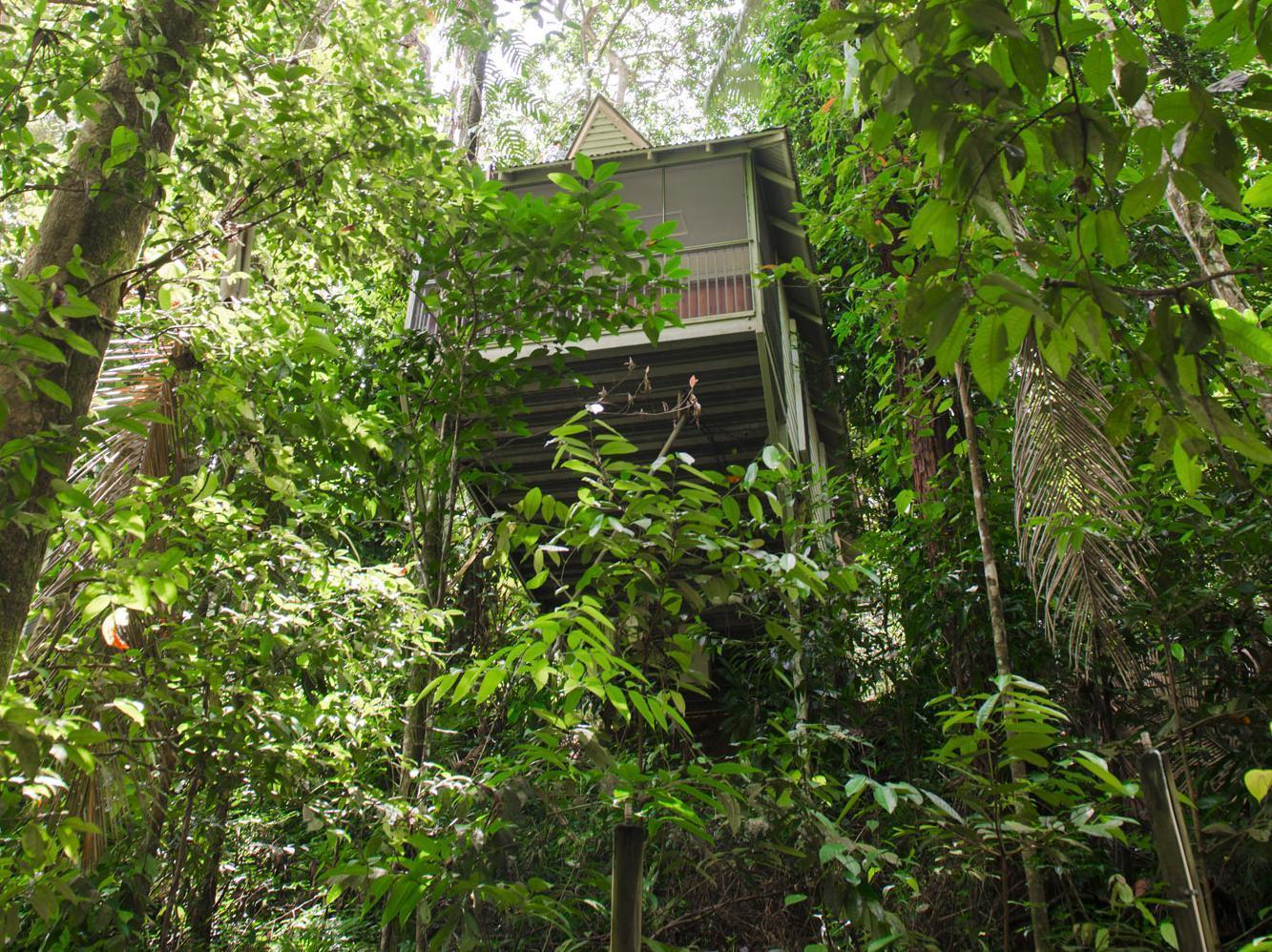 Daintree Ecolodge Kültér fotó