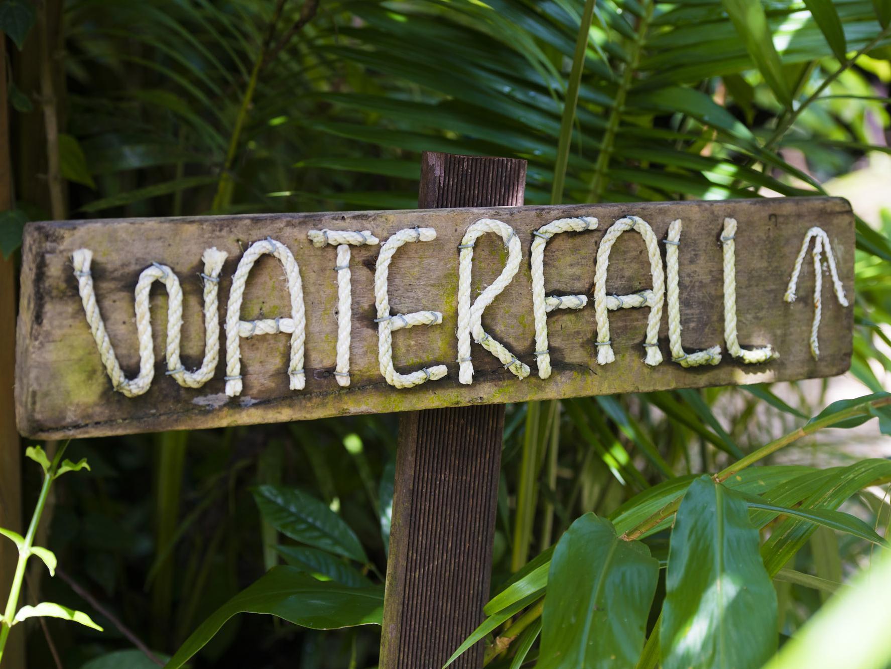 Daintree Ecolodge Kültér fotó