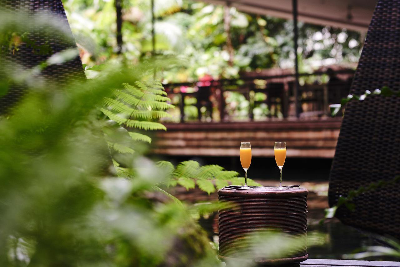 Daintree Ecolodge Kültér fotó