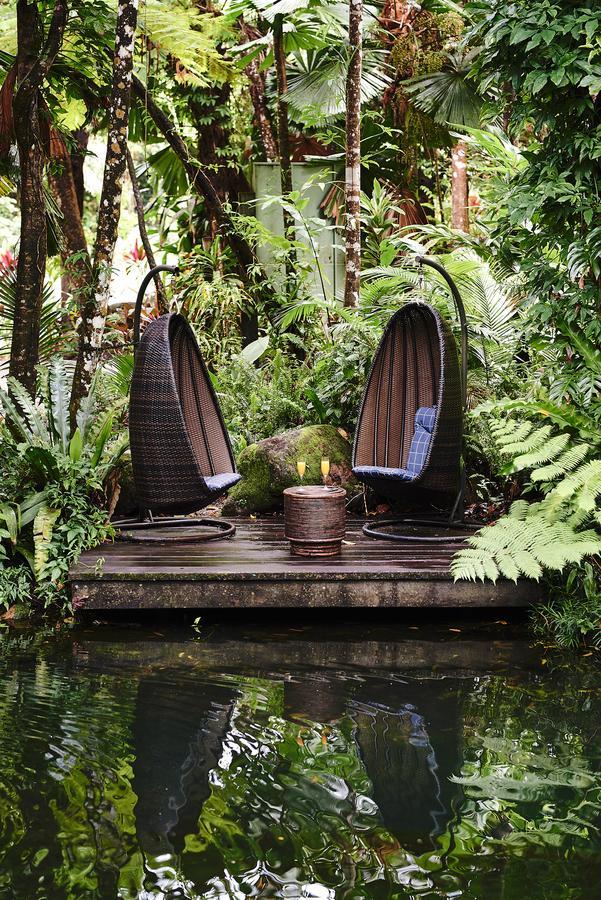 Daintree Ecolodge Kültér fotó