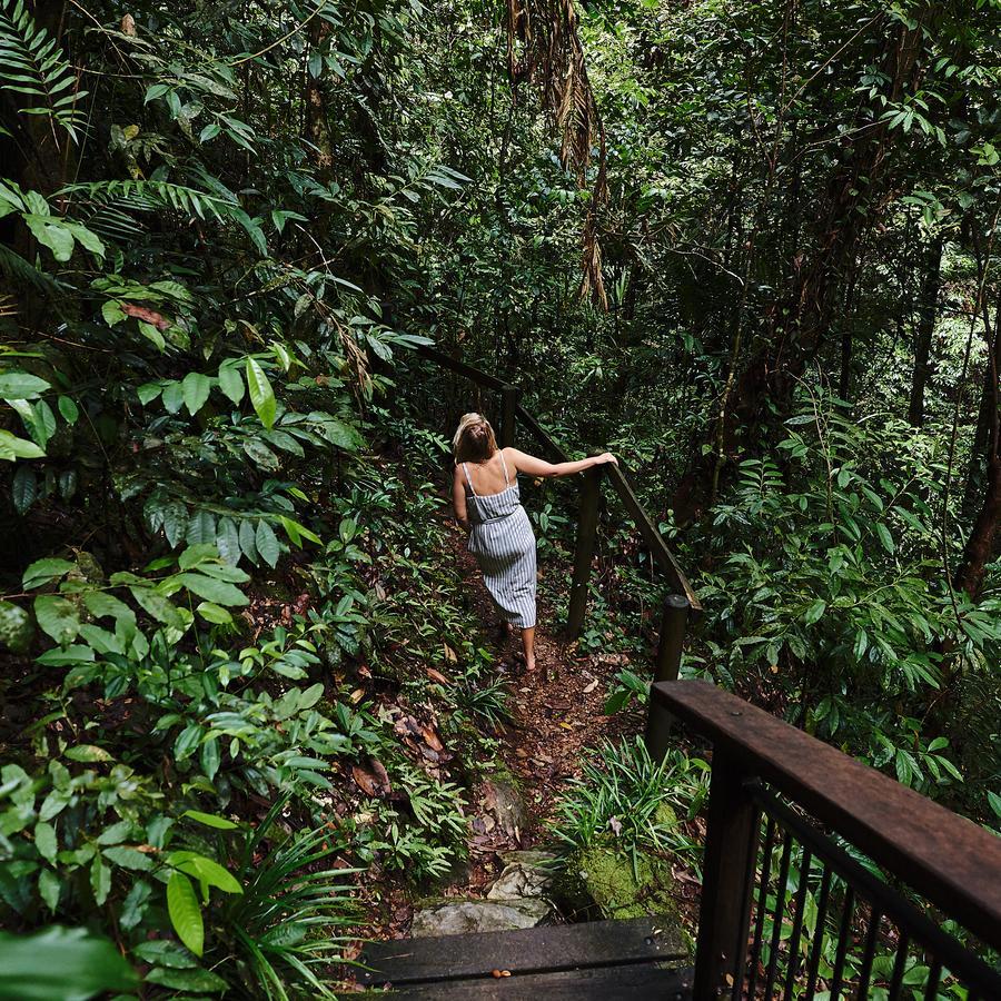 Daintree Ecolodge Kültér fotó