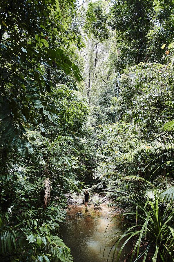 Daintree Ecolodge Kültér fotó