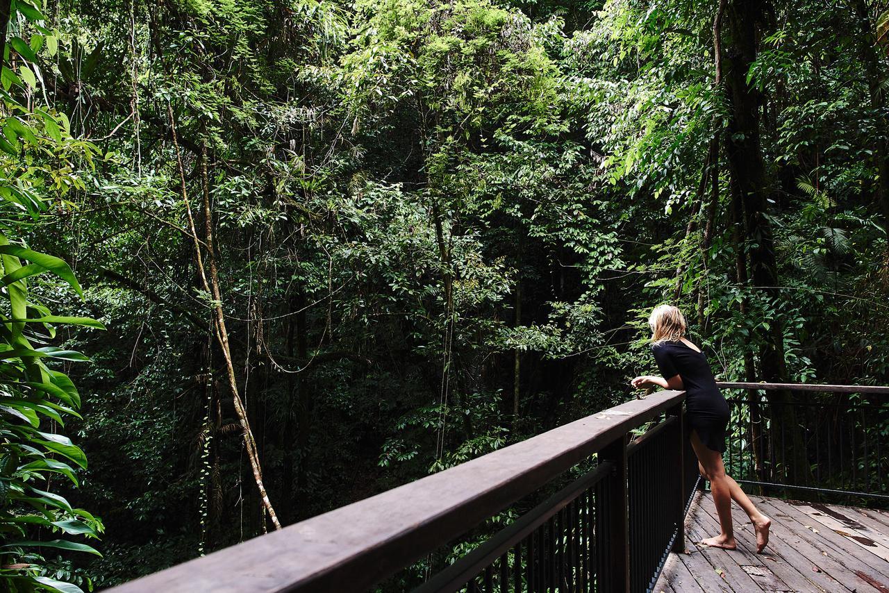 Daintree Ecolodge Kültér fotó