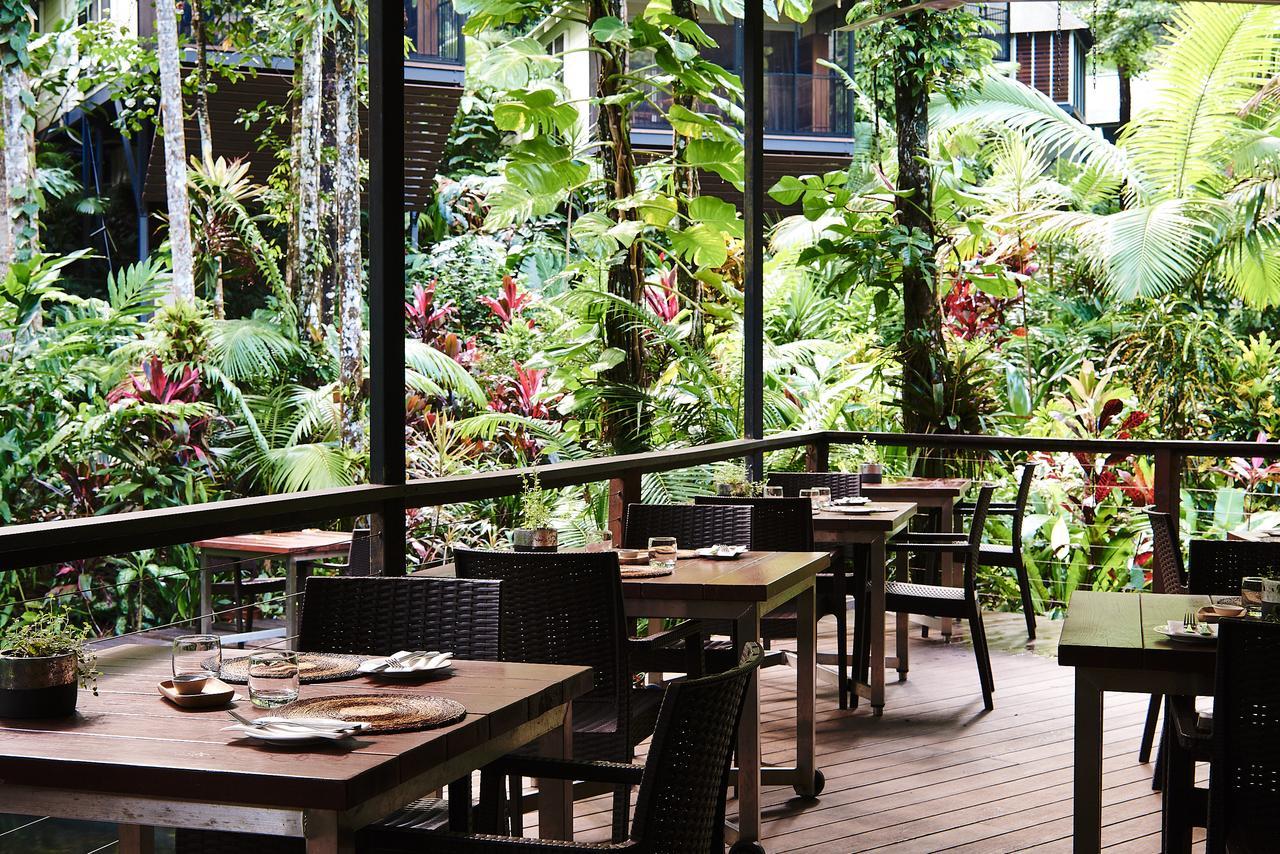 Daintree Ecolodge Kültér fotó