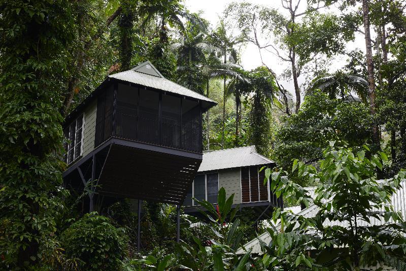 Daintree Ecolodge Kültér fotó