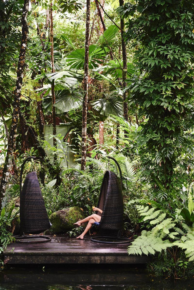 Daintree Ecolodge Kültér fotó