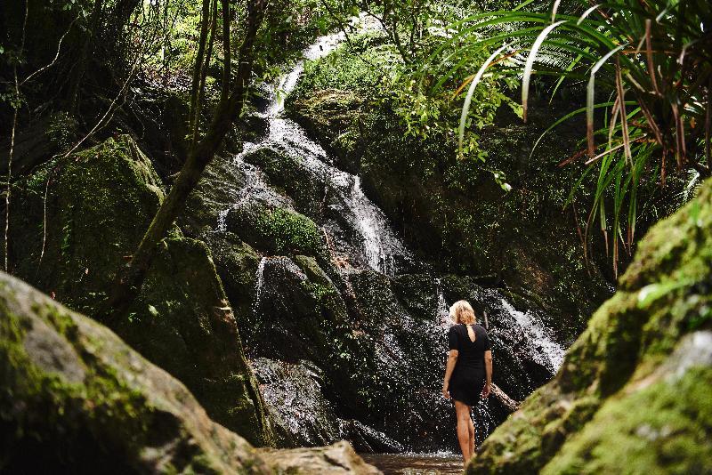 Daintree Ecolodge Kültér fotó