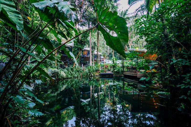 Daintree Ecolodge Kültér fotó