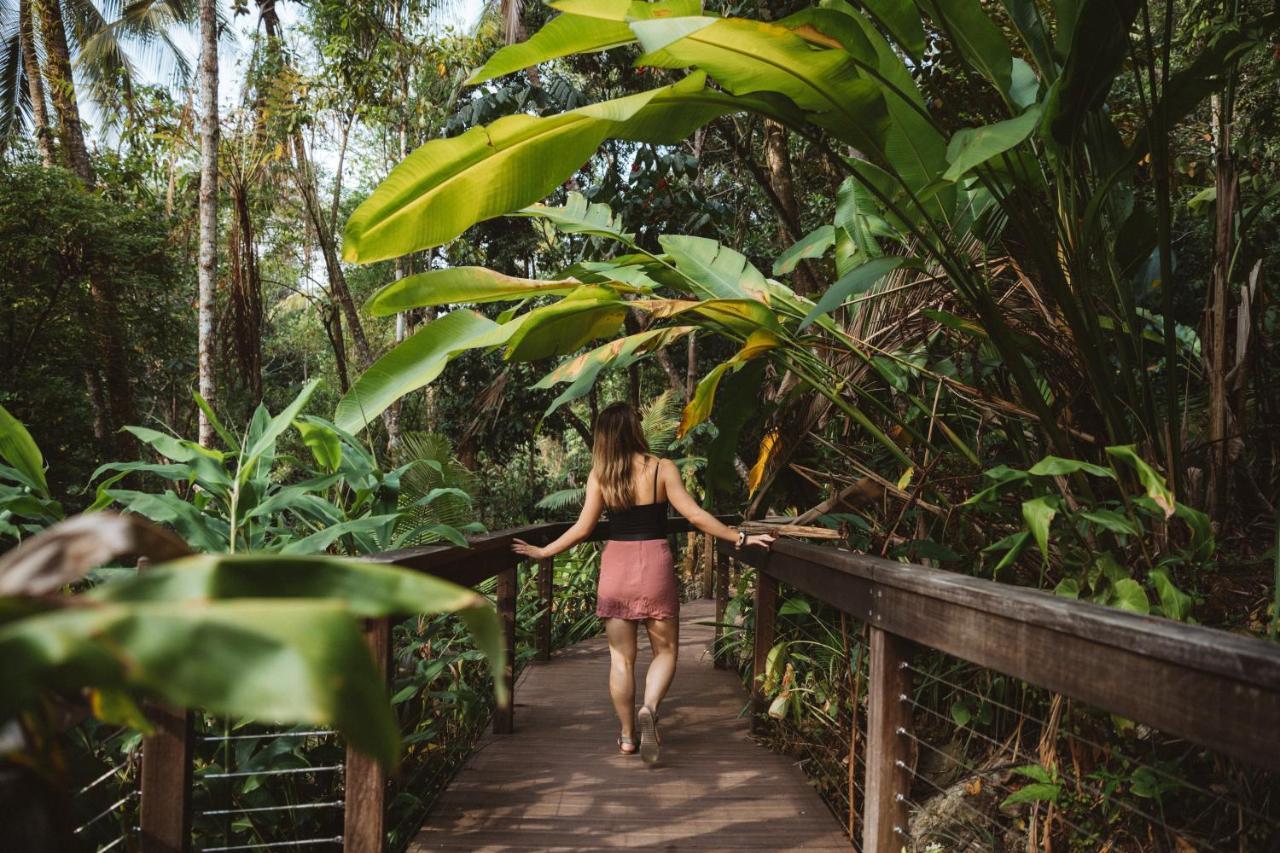 Daintree Ecolodge Kültér fotó