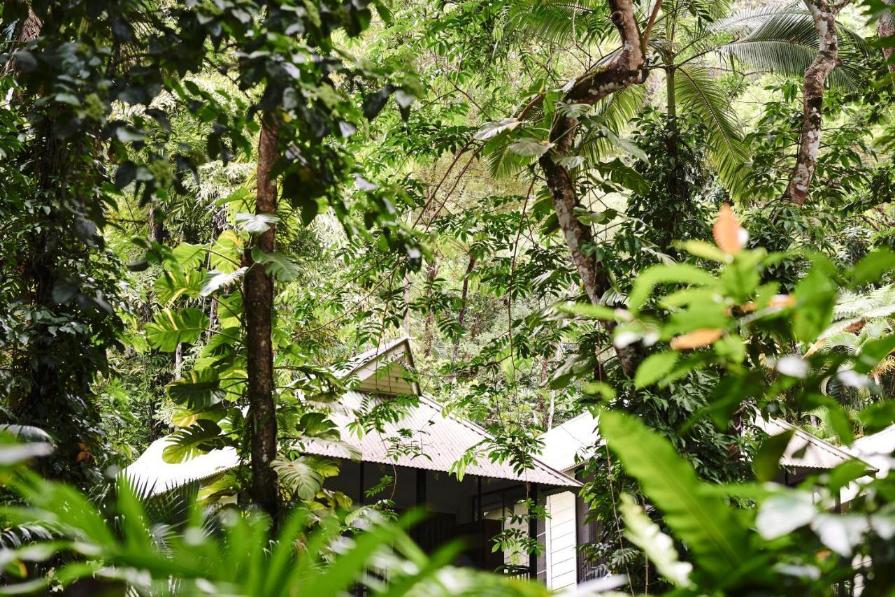 Daintree Ecolodge Kültér fotó